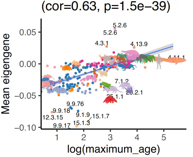 Scatter plot of mean eigengene against log maximum lifespan across mammalian species, correlation 0.63